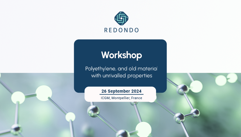 REDONDO | First workshop ICGM, Montepellier, France