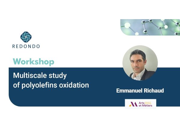 Multiscale Study of Polyolefins Oxidation