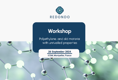 REDONDO | First workshop ICGM, Montepellier, France