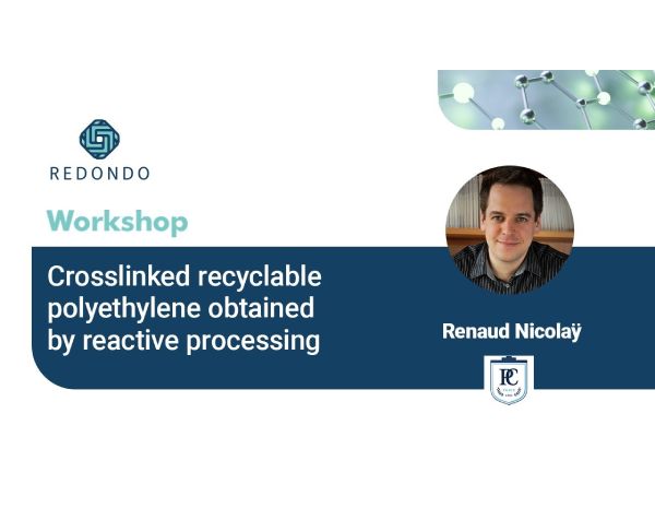 Crosslinked recyclable polyethylene obtained by reactive processing