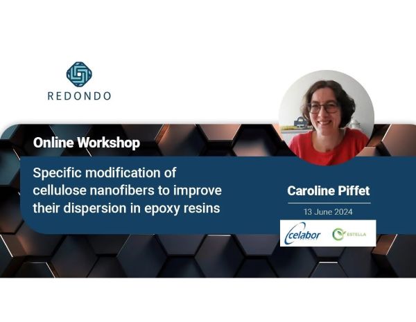 ESTELLA EU Project | Specific modification of cellulose nanofibers | REDONDO Workshop